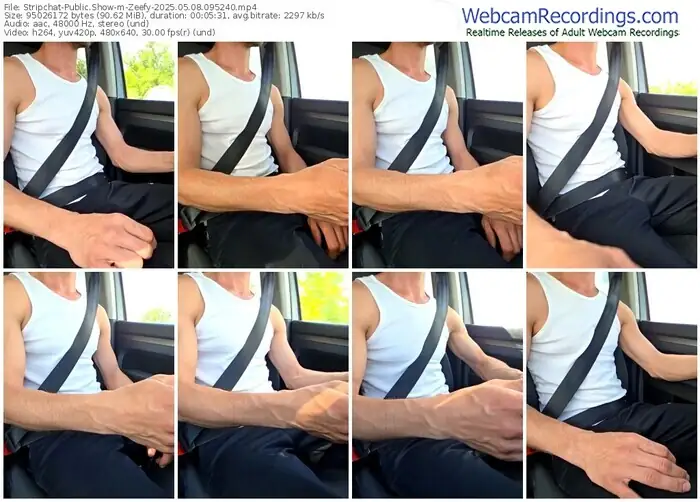 2025/05/08/stripchat-zeefy-09-52-40