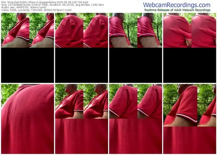 2025/05/08/stripchat-biggandybig-10-17-04