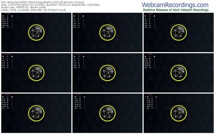 2025/05/09/stripchat-darylbarks-02-11-10