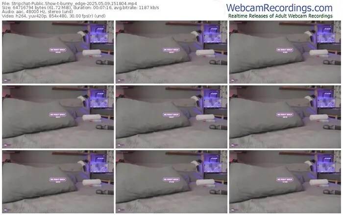 2025/05/09/stripchat-bunny_edge-15-18-04