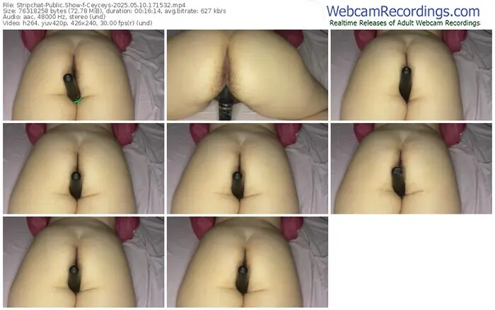 2025/05/10/stripchat-ceyceys-17-15-32