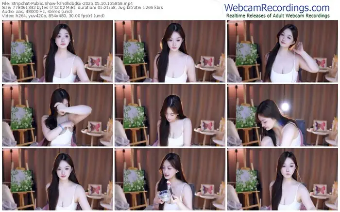 2025/05/10/stripchat-zhdhdbdkx-13-58-59