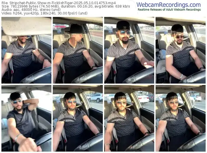 2025/05/10/stripchat-ticklishtiger-01-47-53