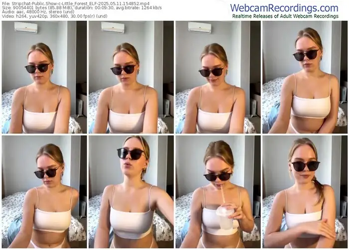 2025/05/11/stripchat-little_forest_elf-15-48-52