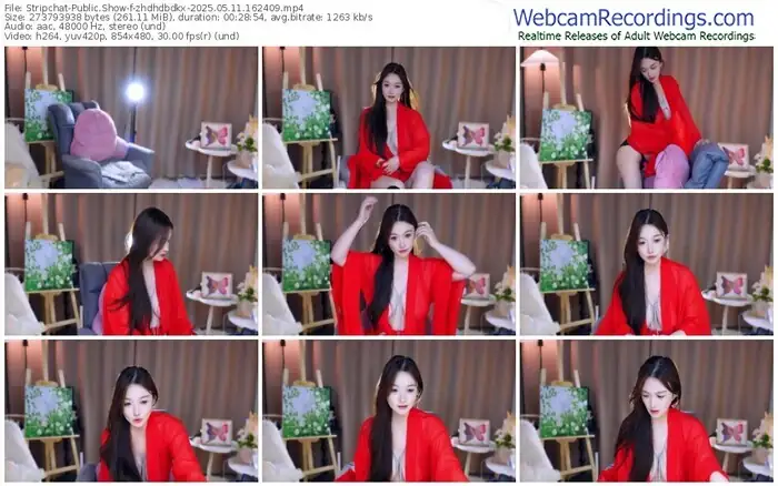 2025/05/11/stripchat-zhdhdbdkx-16-24-09