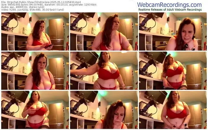 2025/05/12/stripchat-endrocleia-00-58-33