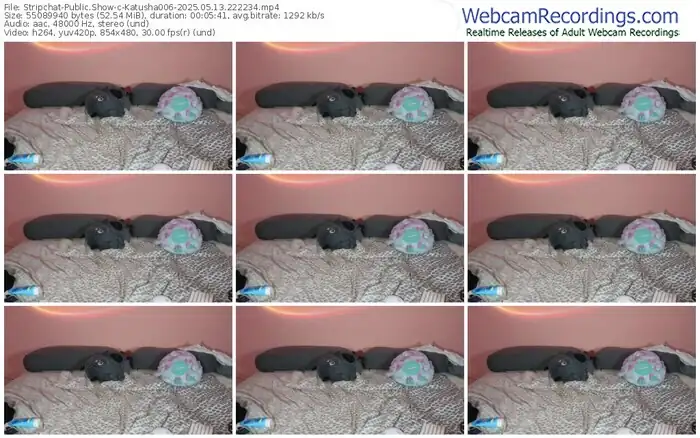 2025/05/13/stripchat-katusha006-22-22-34