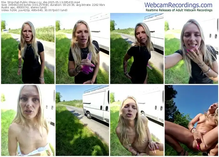 2025/05/13/stripchat-ly_die-08-54-33