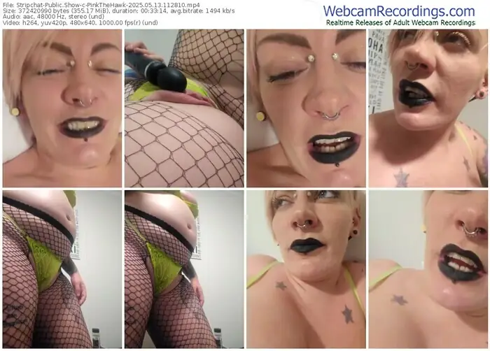 2025/05/13/stripchat-pinkthehawk-11-28-10