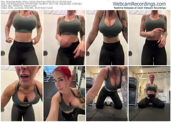 2025/05/13/stripchat-black-flamingo-18-29-43