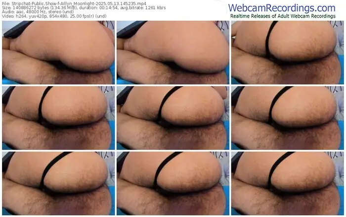 2025/05/13/stripchat-aillyn_moonlight-14-52-35