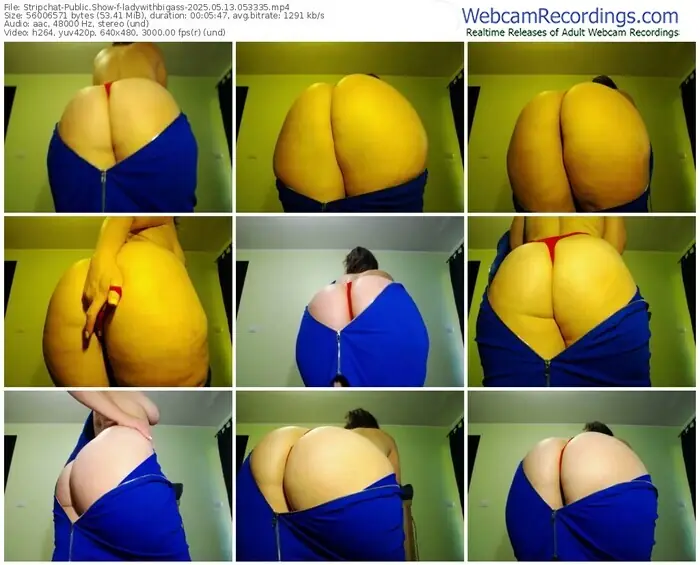 2025/05/13/stripchat-ladywithbigass-05-33-35