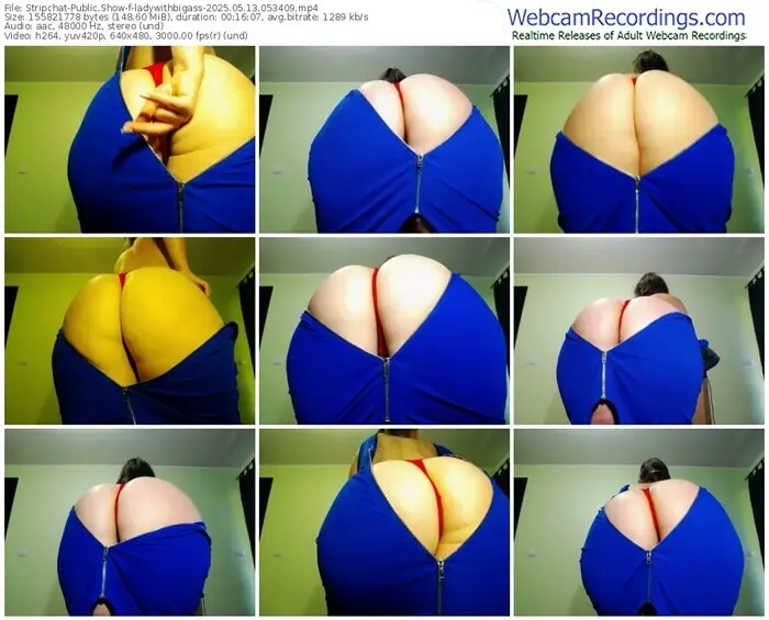 2025/05/13/stripchat-ladywithbigass-05-34-09