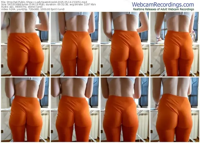 2025/05/14/stripchat-ladyswamikiss04-15-32-51