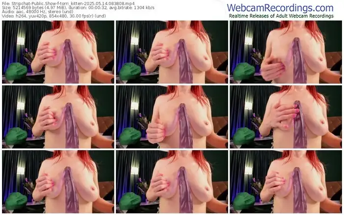 2025/05/14/stripchat-torri_kitten-08-38-08