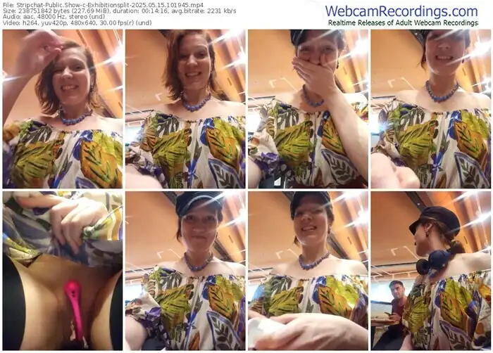 2025/05/15/stripchat-exhibitionsplit-10-19-45