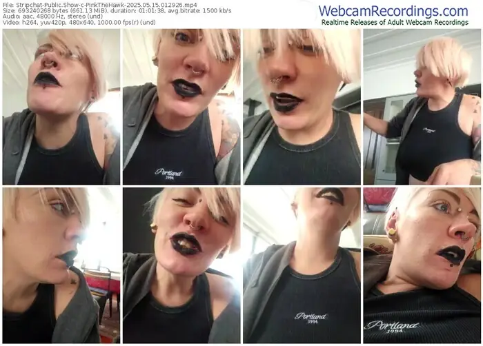 2025/05/15/stripchat-pinkthehawk-01-29-26