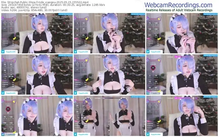 2025/05/15/stripchat-nide_xiaogou-15-55-22