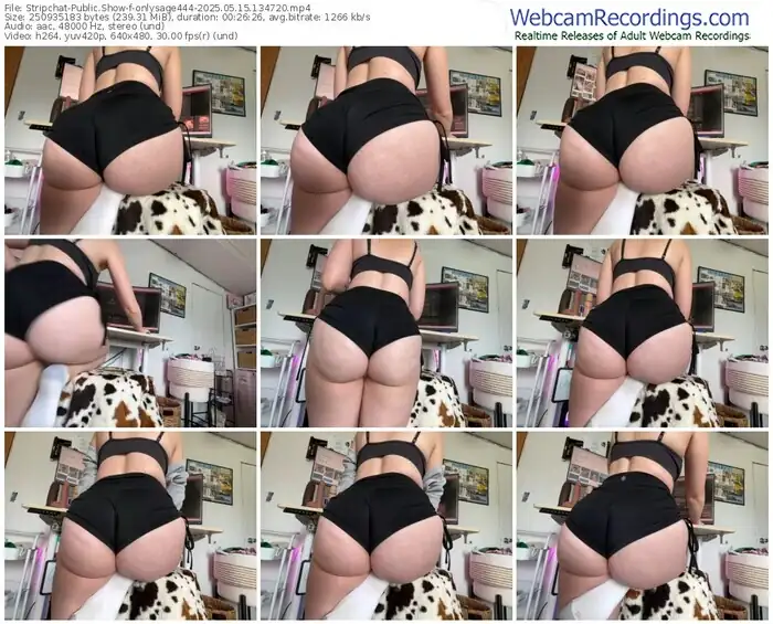 2025/05/15/stripchat-onlysage444-13-47-20