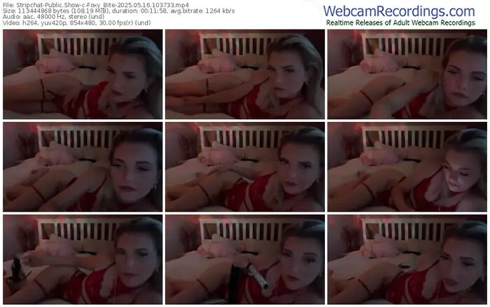 2025/05/16/stripchat-foxy_bite-10-37-33