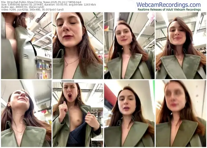 2025/05/16/stripchat-dina_tease-17-38-58