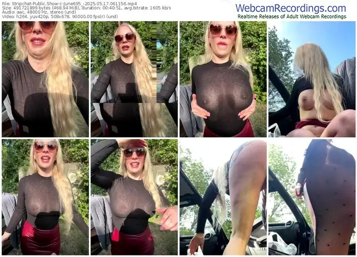 2025/05/17/stripchat-june695_-06-11-56