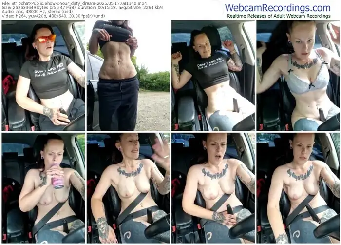 2025/05/17/stripchat-your_dirty_dream-08-11-40