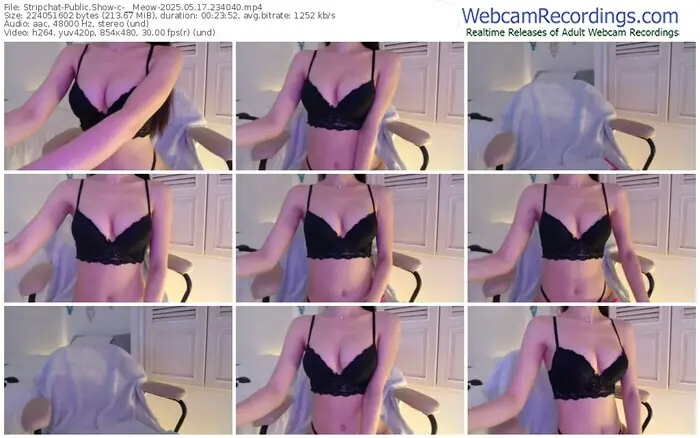 2025/05/17/stripchat-__meow-23-40-40