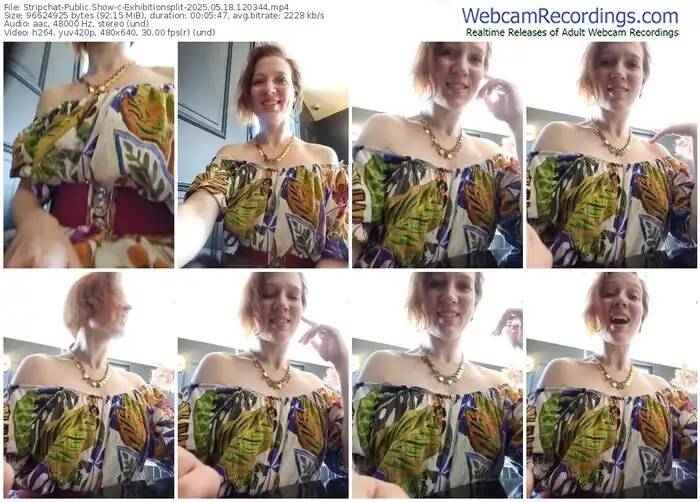 2025/05/18/stripchat-exhibitionsplit-12-03-44