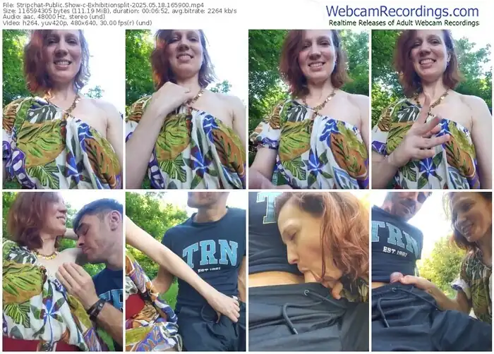 2025/05/18/stripchat-exhibitionsplit-16-59-00