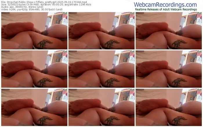 2025/05/19/stripchat-tiffany_prettygirl-17-03-44