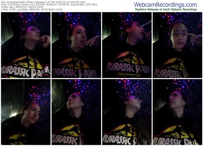2025/05/19/stripchat-pleasure_of_life-00-21-43