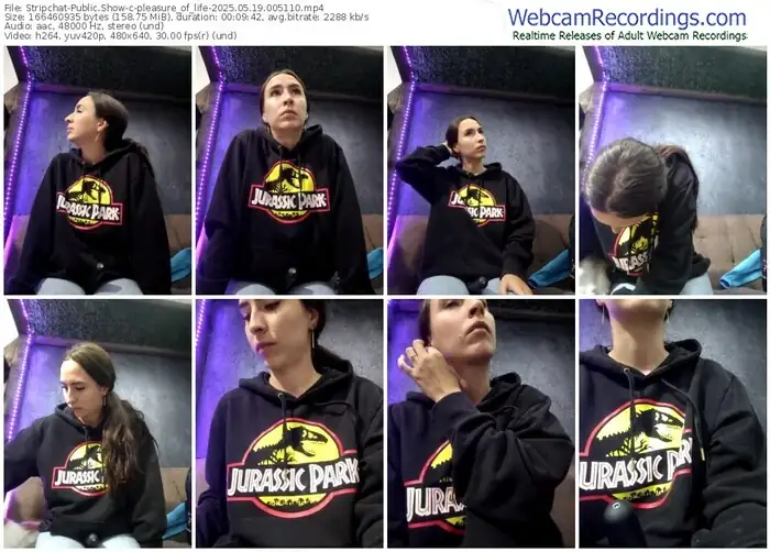 2025/05/19/stripchat-pleasure_of_life-00-51-10