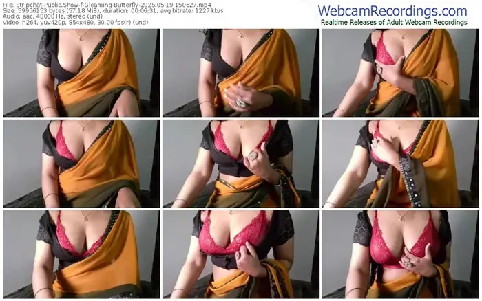 2025/05/19/stripchat-gleaming-butterfly-15-06-27