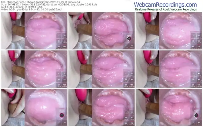 2025/05/19/stripchat-danigirl866-21-16-34