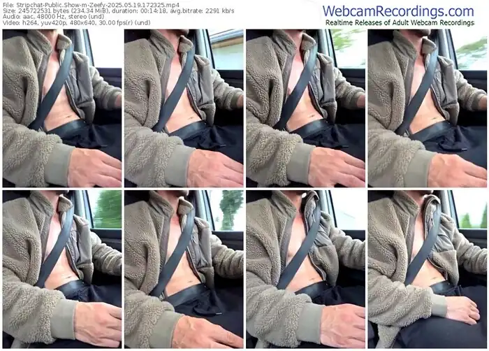2025/05/19/stripchat-zeefy-17-23-25