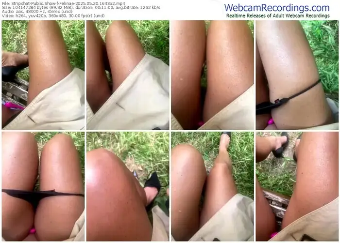 2025/05/20/stripchat-felinae-16-43-52