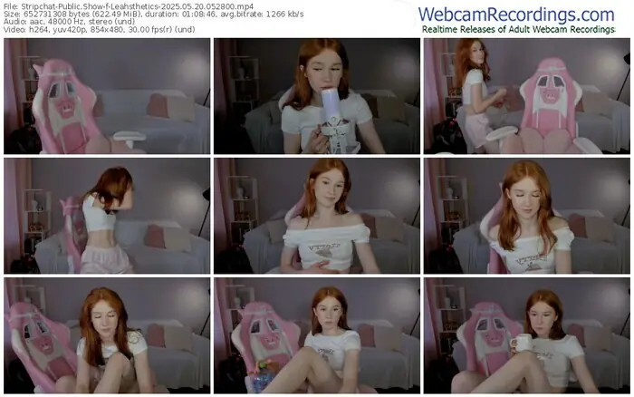 2025/05/20/stripchat-leahsthetics-05-28-00