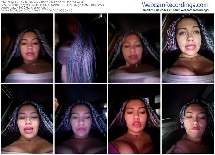 2025/05/21/stripchat-liz-06_-23-52-09