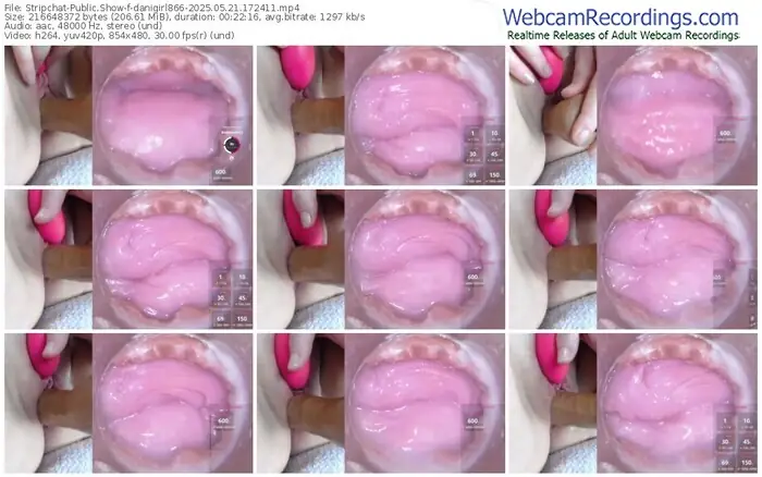2025/05/21/stripchat-danigirl866-17-24-11