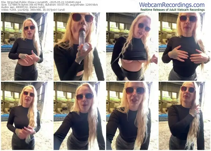 2025/05/22/stripchat-june695_-10-46-40