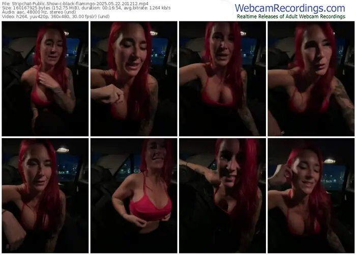 2025/05/22/stripchat-black-flamingo-20-12-12