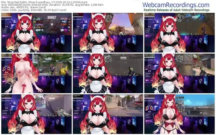 2025/05/22/stripchat-lewdfoxy_vt-12-53-06