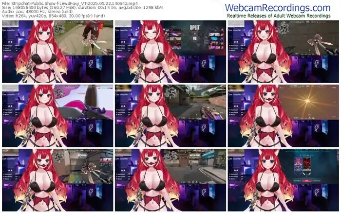 2025/05/22/stripchat-lewdfoxy_vt-14-06-42