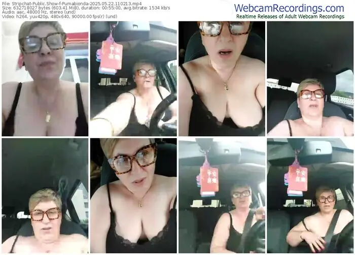 2025/05/22/stripchat-pumabionda-11-02-13