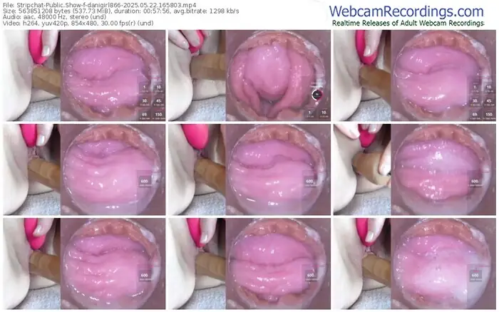 2025/05/22/stripchat-danigirl866-16-58-03
