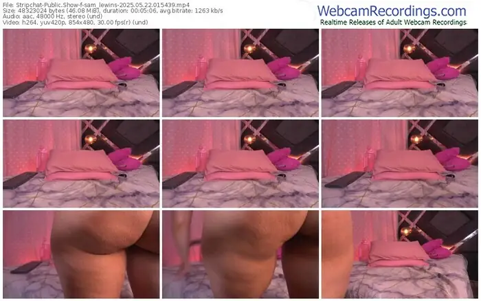 2025/05/22/stripchat-sam_lewins-01-54-39