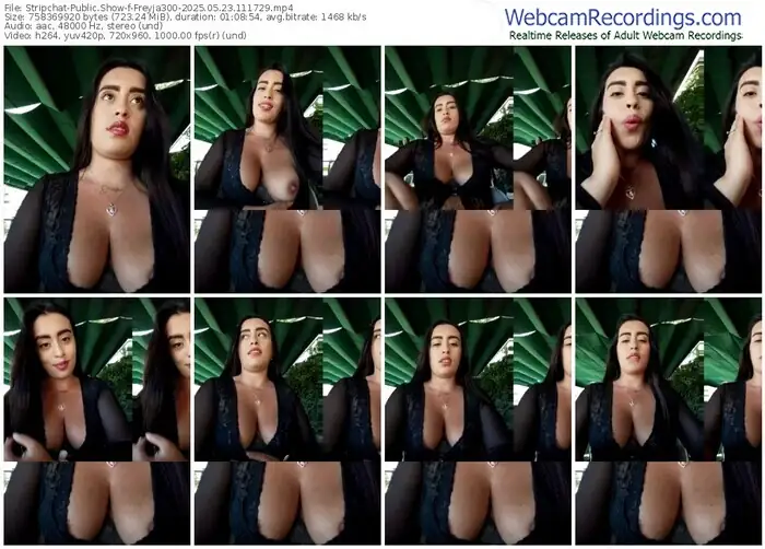 2025/05/23/stripchat-freyja300-11-17-29