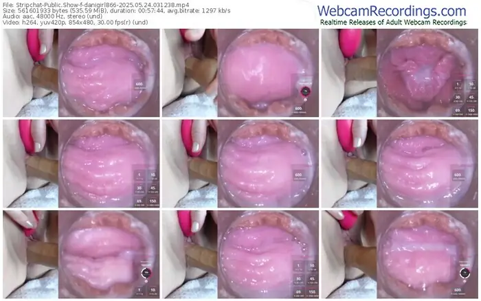 2025/05/24/stripchat-danigirl866-03-12-38