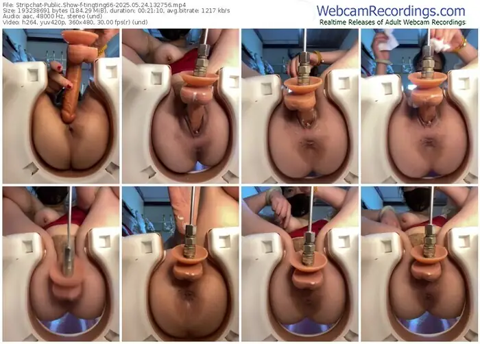 2025/05/24/stripchat-tingting66-13-27-56
